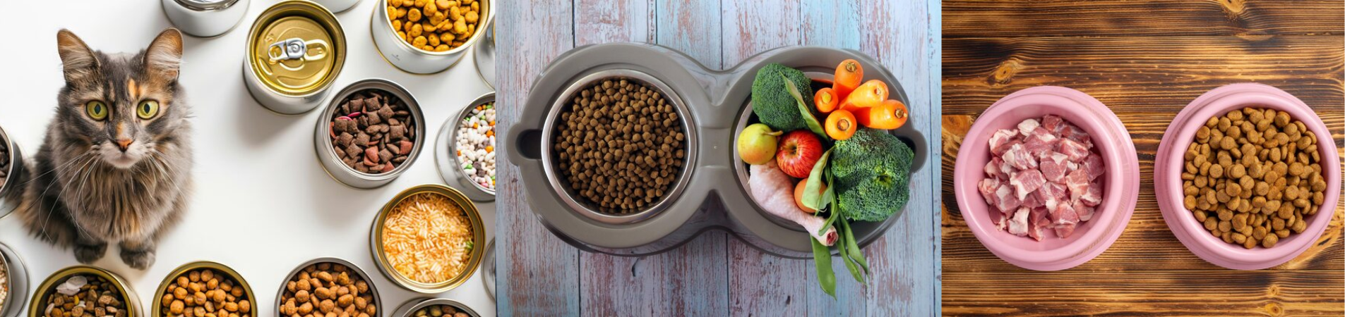 Gentle Dog Food Choices for Sensitive Stomachs