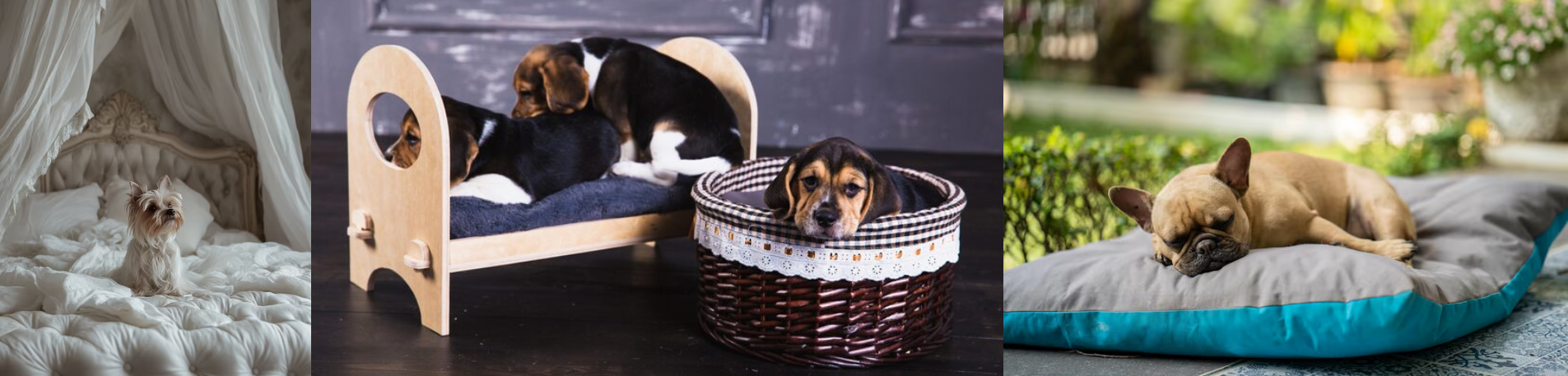 Why Your Car Gets Dirty Faster When You Travel With Dogs